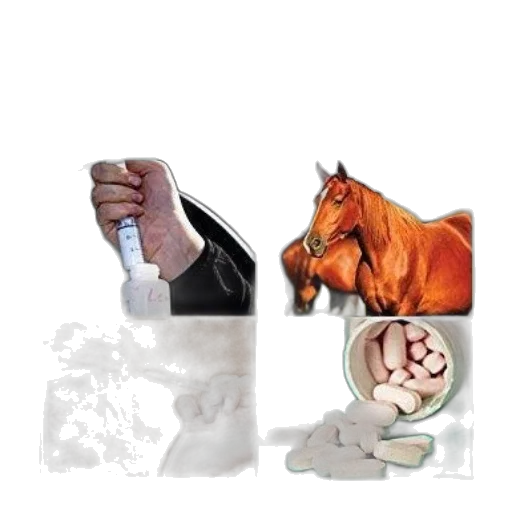 concept art, cover, equine, pharmacology transparent PNG cut-out