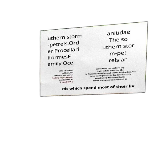 umbrella, text-heavy, image, white transparent PNG cut-out