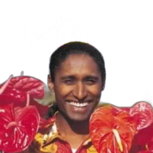 face, food, staff, flower transparent PNG cut-out