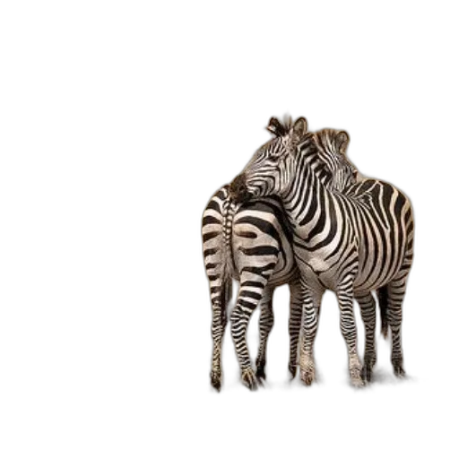 animal, creature, furniture, jewelry transparent PNG cut-out