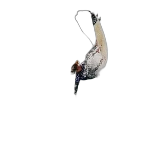 staff, animal, weapon, food transparent PNG cut-out