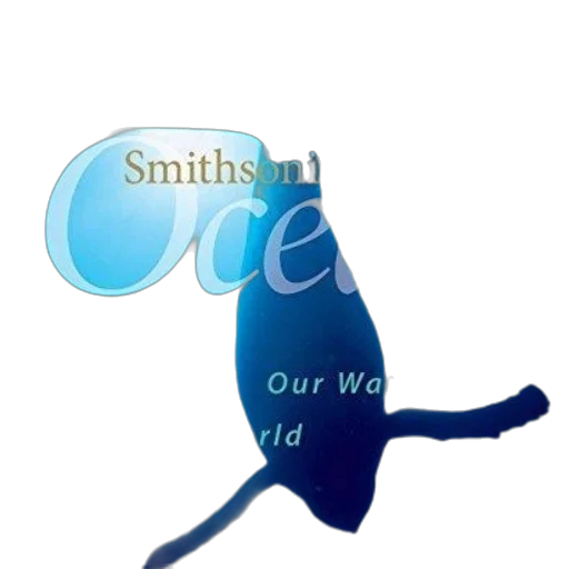 staff, shoes, creature, bottle transparent PNG cut-out
