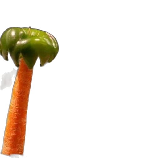 food, hat, umbrella, staff transparent PNG cut-out