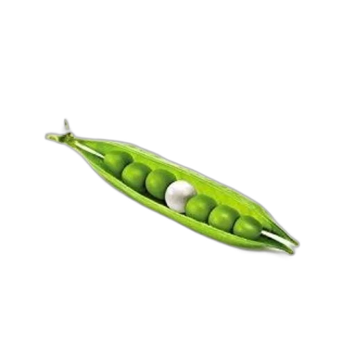 food, weapon, jewelry, staff transparent PNG cut-out