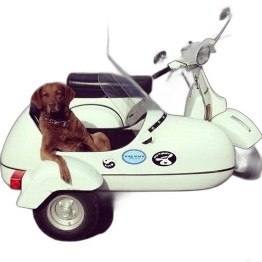 car, animal, photorealistic, brown transparent PNG cut-out