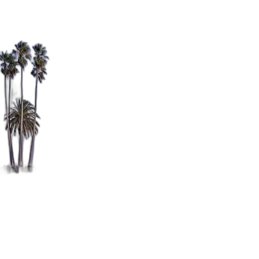 tree, umbrella, weapon, staff transparent PNG cut-out