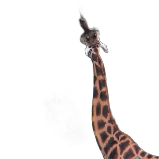 animal, staff, umbrella, creature transparent PNG cut-out