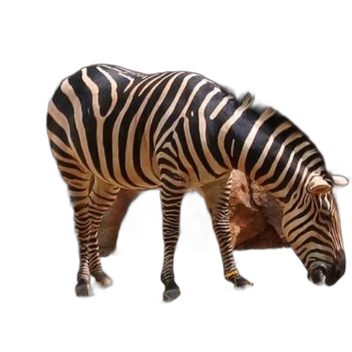 animal, creature, weapon, furniture transparent PNG cut-out