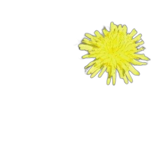 flower, crown, staff, weapon transparent PNG cut-out