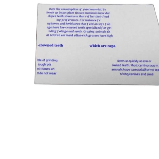 staff, informative, text, about transparent PNG cut-out
