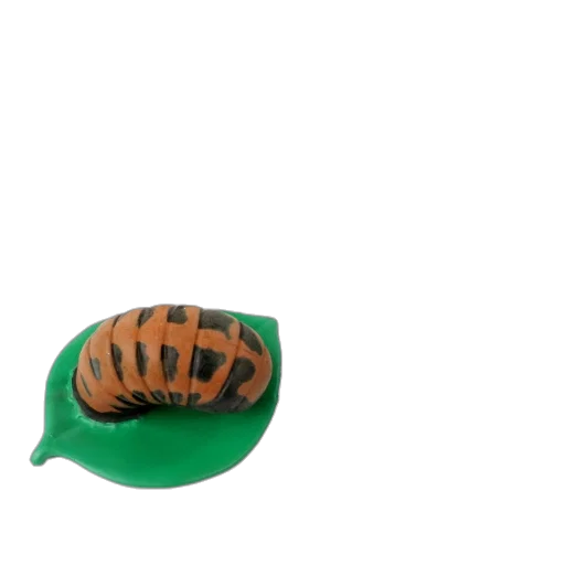 hat, animal, creature, food transparent PNG cut-out