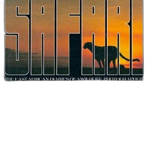 vaporwave, sunset, outer space, safari transparent PNG cut-out