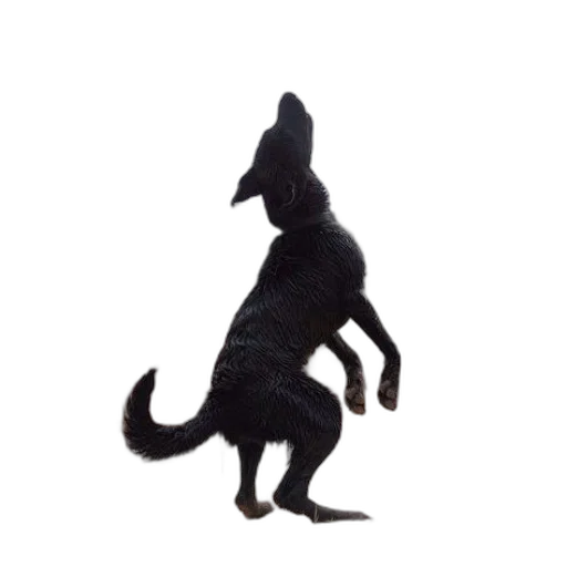 animal, creature, dragon, staff transparent PNG cut-out