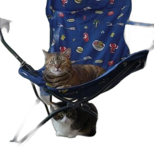 staff, animal, umbrella, creature transparent PNG cut-out