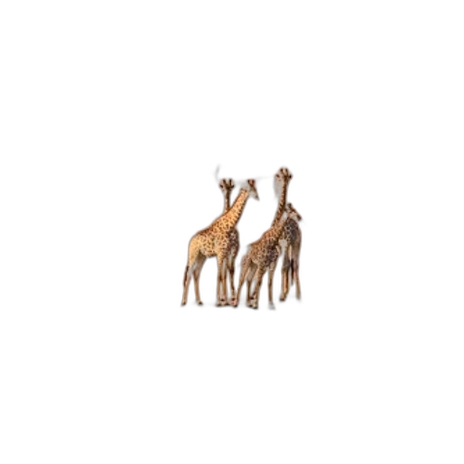 animal, creature, furniture, pixel art transparent PNG cut-out