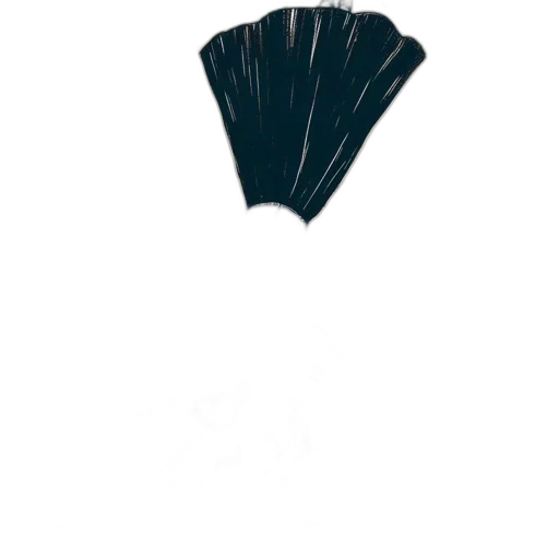 umbrella, hair, hat, crown transparent PNG cut-out