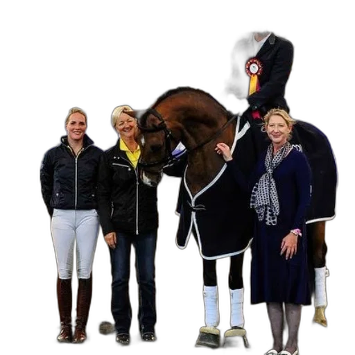 staff, jacket, animal, group transparent PNG cut-out