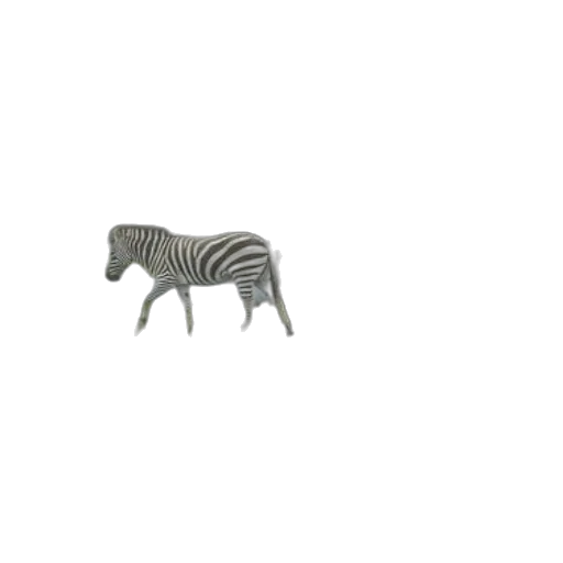 animal, furniture, creature, jewelry transparent PNG cut-out