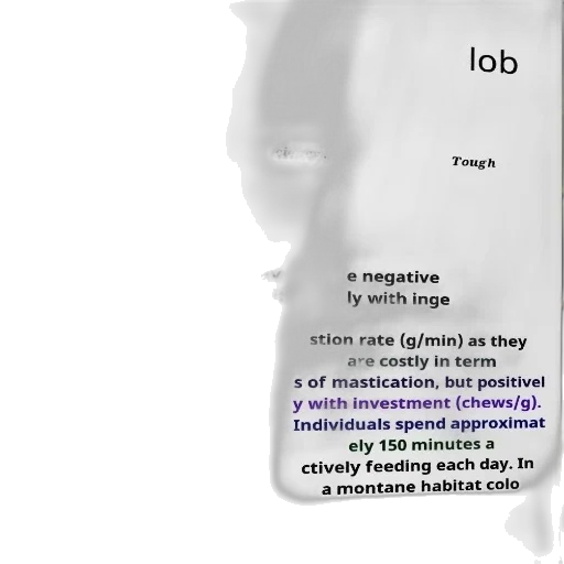 robot, face, text-based, image transparent PNG cut-out
