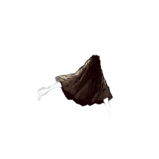 hair, umbrella, hat, dress transparent PNG cut-out