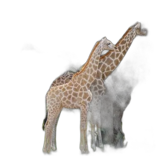 animal, creature, dragon, staff transparent PNG cut-out