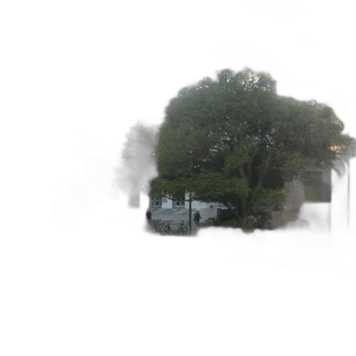 tree, car, umbrella, robot transparent PNG cut-out