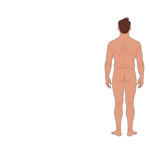 creature, jacket, concept art, 3d render transparent PNG cut-out