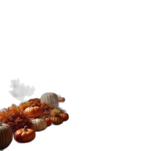 food, hair, crown, jewelry transparent PNG cut-out