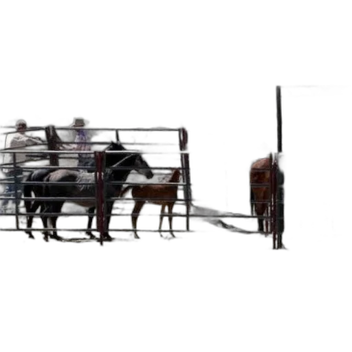 furniture, staff, animal, weapon transparent PNG cut-out