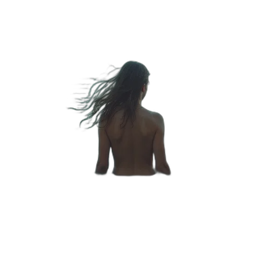 hair, dress, jewelry, crown transparent PNG cut-out