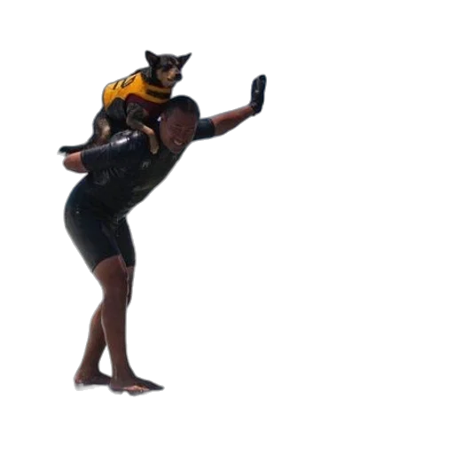 animal, creature, dress, staff transparent PNG cut-out