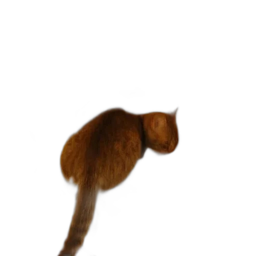 staff, hat, animal, creature transparent PNG cut-out