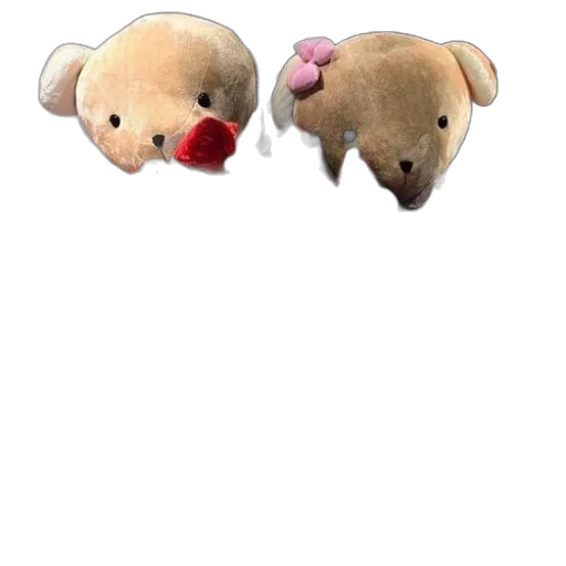 mask, animal, hat, creature transparent PNG cut-out