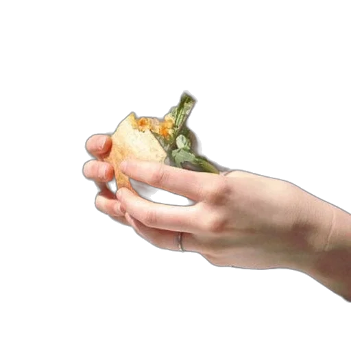 food, weapon, bottle, dragon transparent PNG cut-out