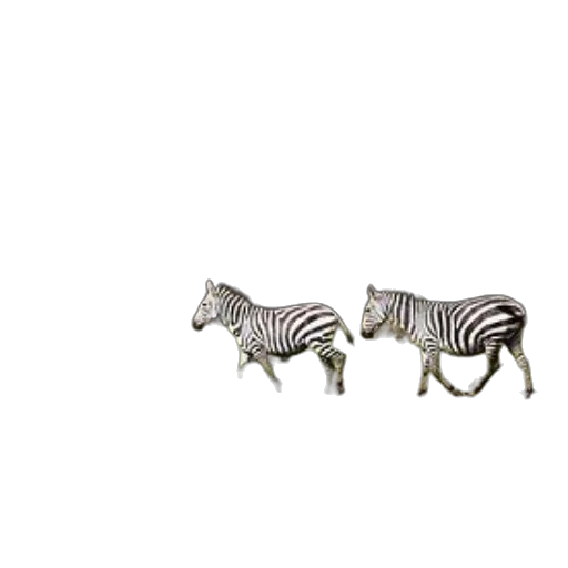 animal, furniture, jewelry, creature transparent PNG cut-out