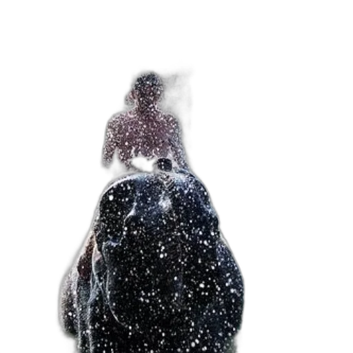 animal, creature, hat, jacket transparent PNG cut-out