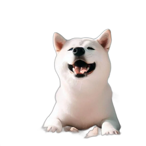 animal, creature, face, staff transparent PNG cut-out