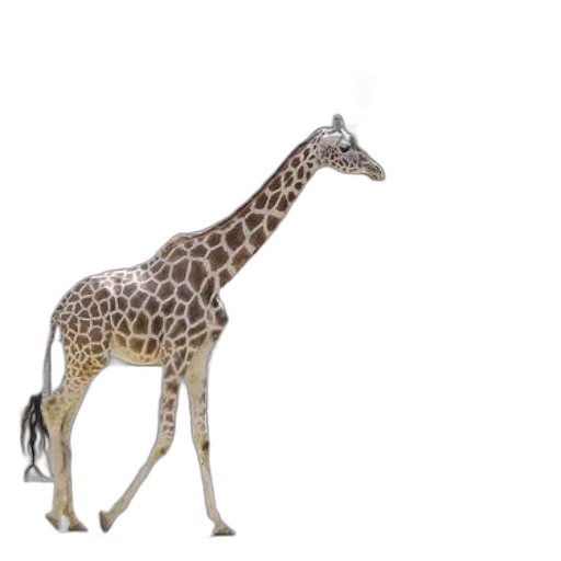 animal, creature, staff, weapon transparent PNG cut-out