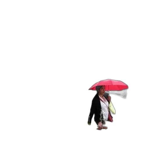 umbrella, hat, jacket, staff transparent PNG cut-out