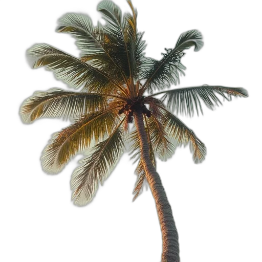 tree, staff, umbrella, hair transparent PNG cut-out