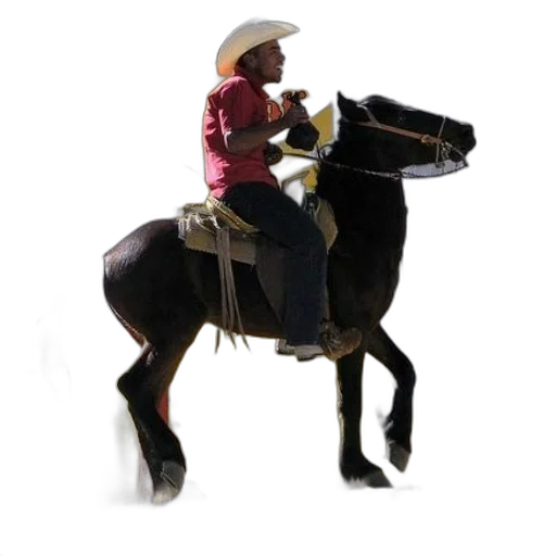 staff, hat, animal, jacket transparent PNG cut-out