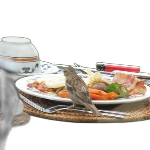 food, animal, creature, photorealistic transparent PNG cut-out