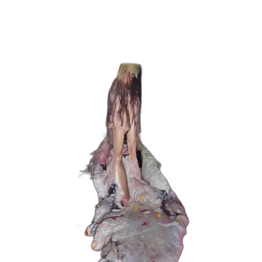 dress, hair, creature, jacket transparent PNG cut-out
