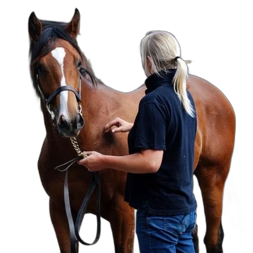 staff, jewelry, animal, jacket transparent PNG cut-out