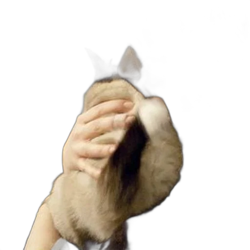 animal, hat, staff, mask transparent PNG cut-out