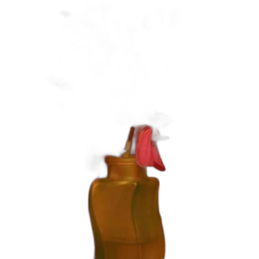 bottle, dress, shoes, weapon transparent PNG cut-out