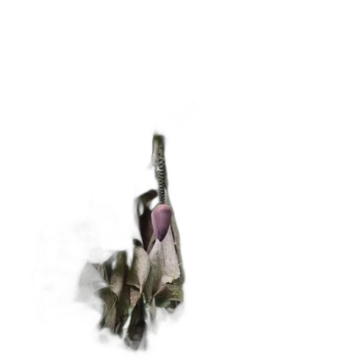flower, weapon, staff, sword transparent PNG cut-out
