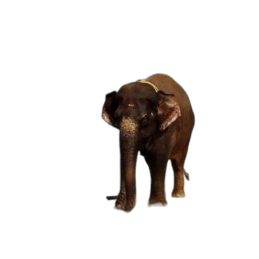 animal, creature, staff, weapon transparent PNG cut-out