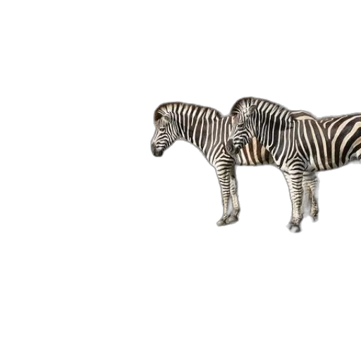 animal, creature, furniture, jewelry transparent PNG cut-out