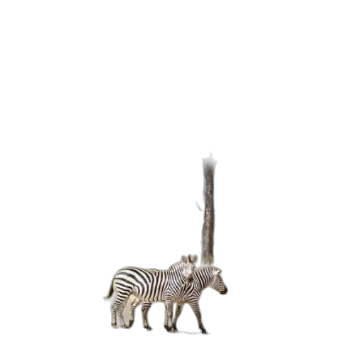 animal, staff, jewelry, weapon transparent PNG cut-out